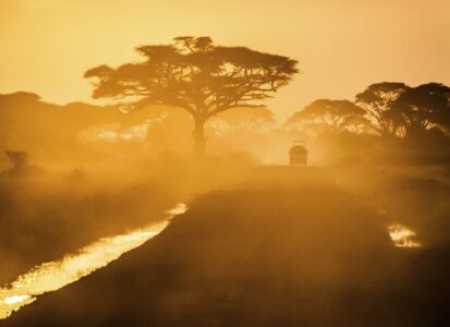 Amboseli national park, Kenya